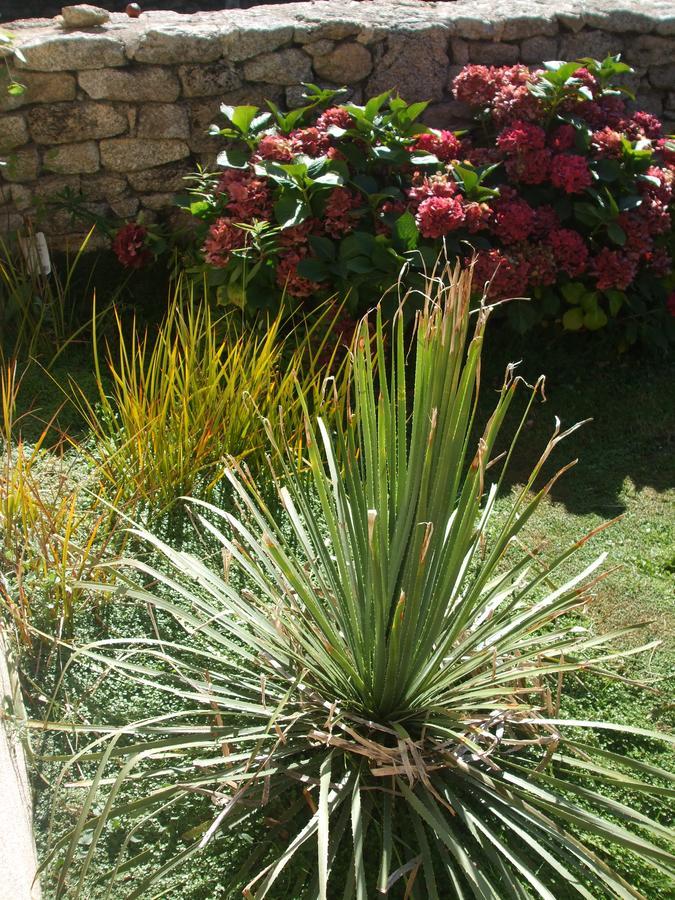 La Sirene Endormie Bed & Breakfast Penmarc'h Exterior photo